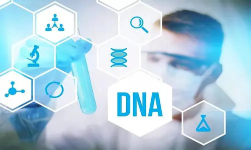 巴彦淖尔哪个医院能做亲子鉴定,巴彦淖尔医院办理DNA鉴定办理的流程