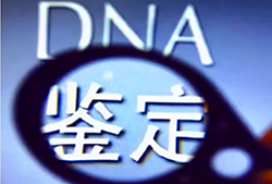 巴彦淖尔实名DNA亲子鉴定如何办理，巴彦淖尔实名DNA亲子鉴定条件和材料